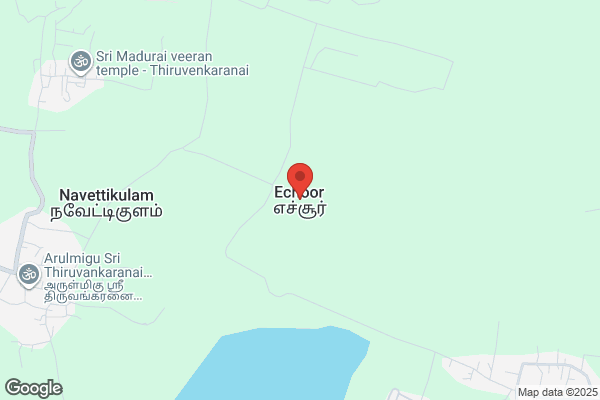 舎人庵とんぼ