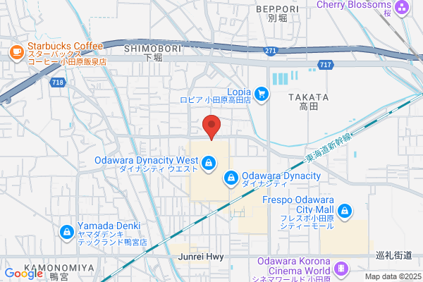 ドミノ・ピザ小田原中里店
