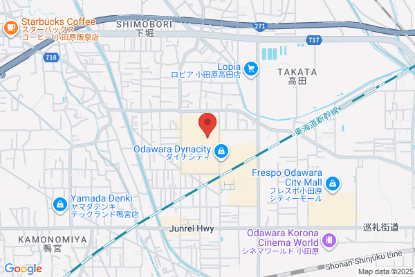 ハックドラッグダイナシティ店