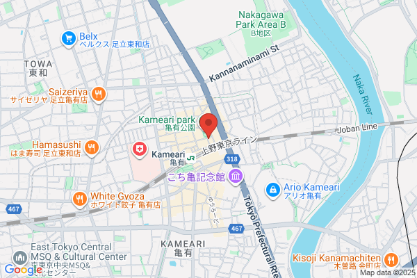Dance Academy Kameari Co., Ltd.