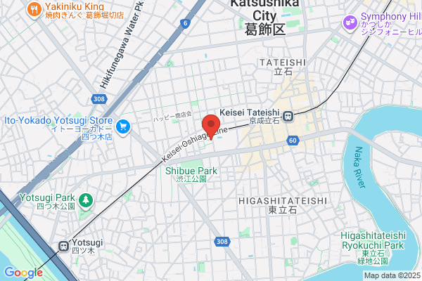 Hikari Dengyo Co., Ltd.