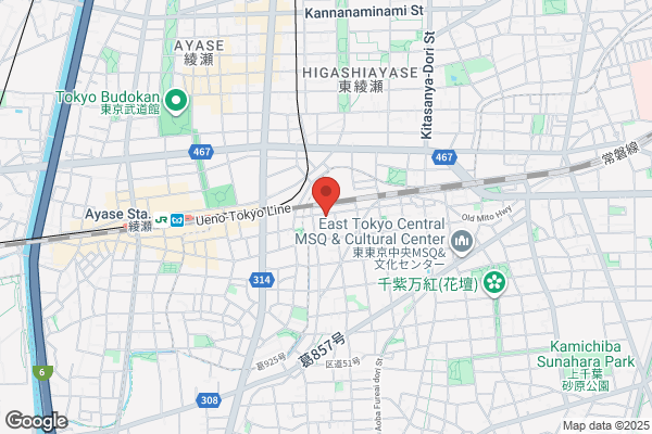 Hoshino Denki Co., Ltd.