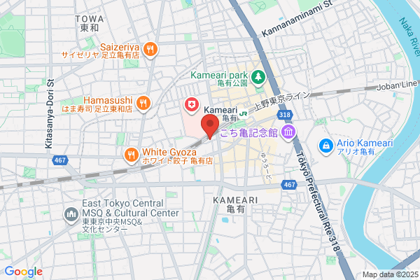 Ishii Denki Shokai Co., Ltd.