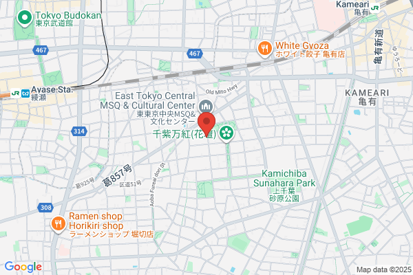 Joto Denki Shokai Co., Ltd.