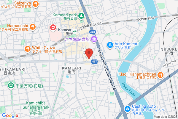 Kameari Hospital