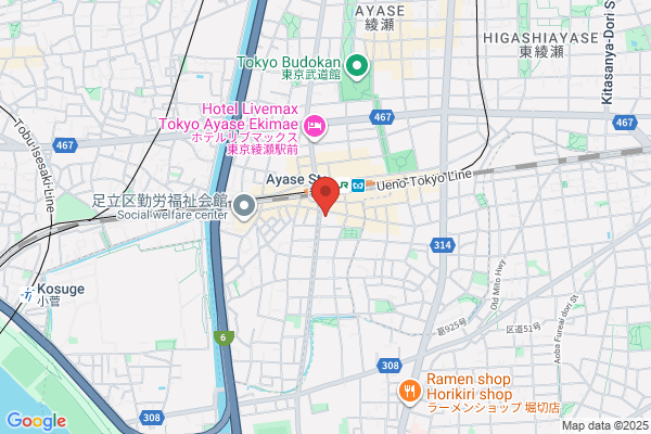 Ayase Kokusai Hotel