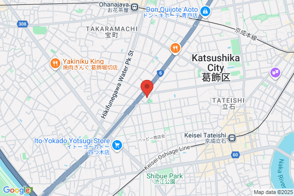 Tomiyama Iryokiki Seisakusho