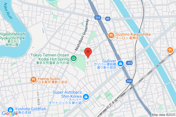 Tokyo Night Taxi Inc.