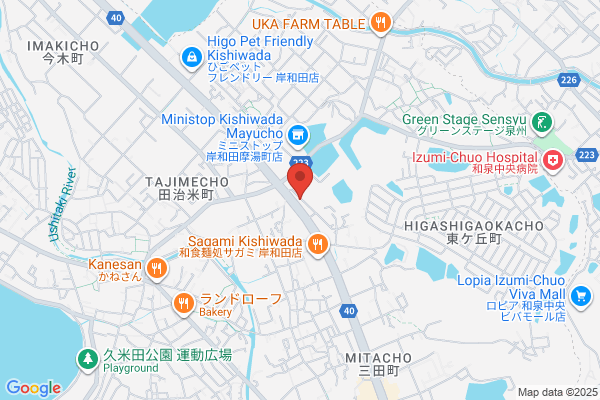 Ace Corporation