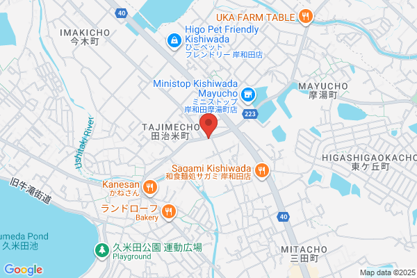 Iwamoto Denki Shokai
