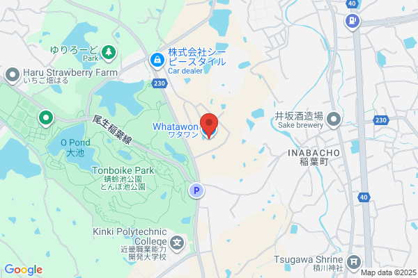 Katayama Terebi Service