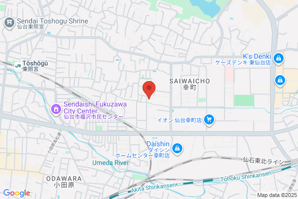 Sendai Spin Taiso Club