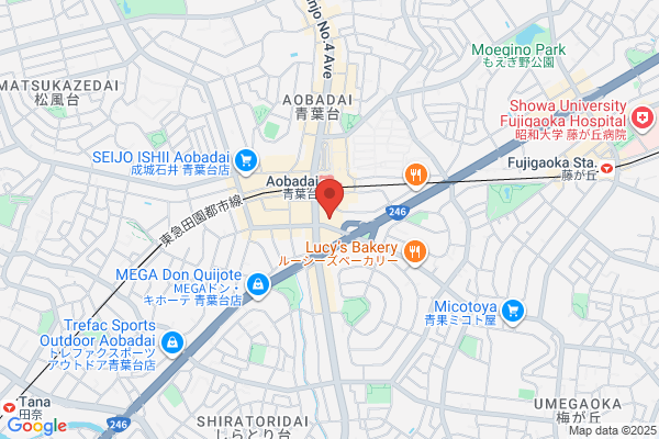 Yamamoto Misao Dance Academy