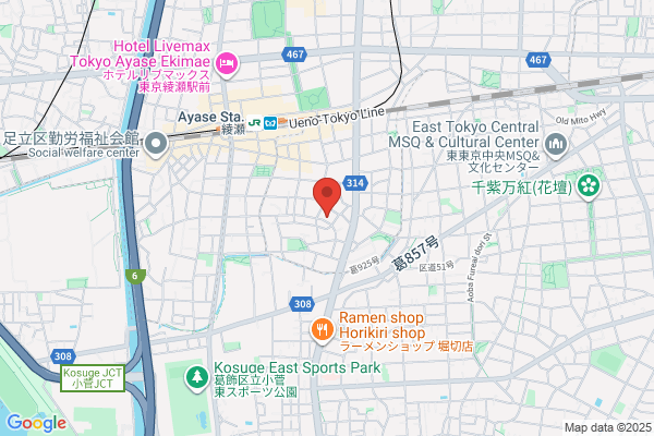 Bears Internet Co., Ltd.
