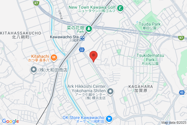 Free Style Co., Ltd.