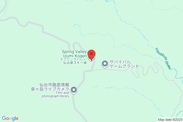 Zips Co., Ltd.