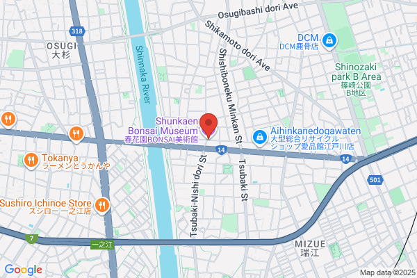 Bunsai Center