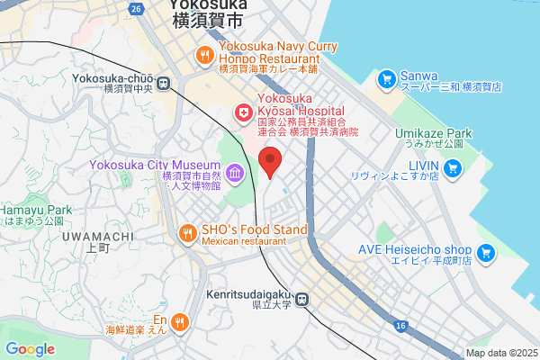 Matsunaka Denshi Co., Ltd.