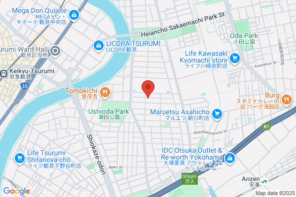Hashizume Denki Kogyosho Co., Ltd.