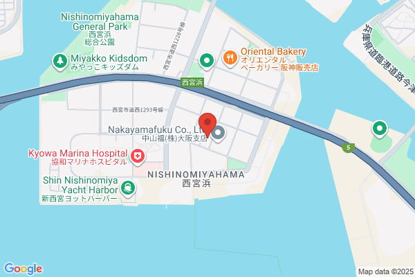 Fujinoi Denki Shokai