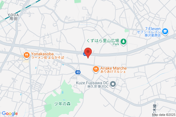 Fujisawa Denki