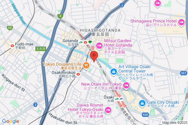 Access Technology, Japan