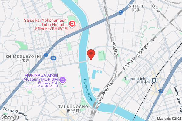 Tsurumi Sports Club