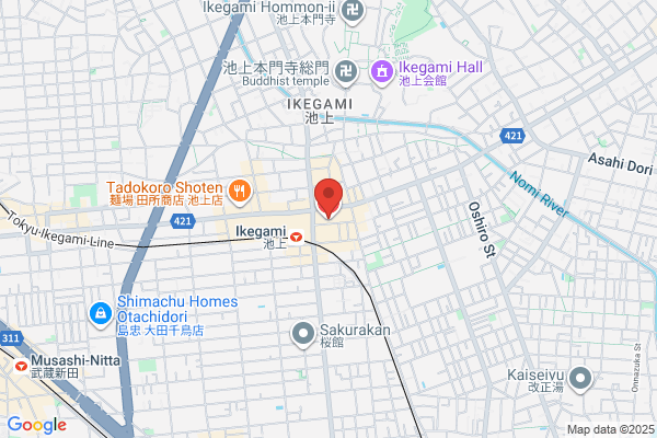 Ikegami General Hospital