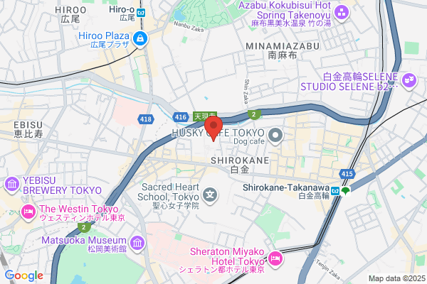 Kitasato Institute Hospital