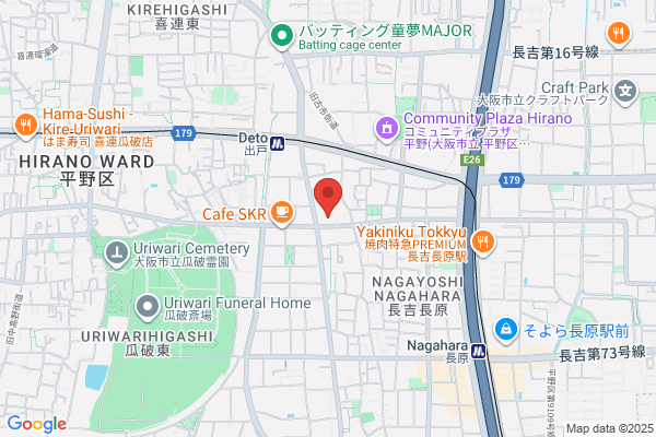Nagayoshi General Hospital