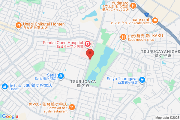 Sendai Open Hospital
