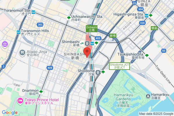 Shimbashi Aoki Hospital