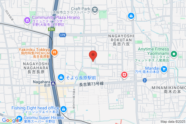 Ueda Surgery Hospital