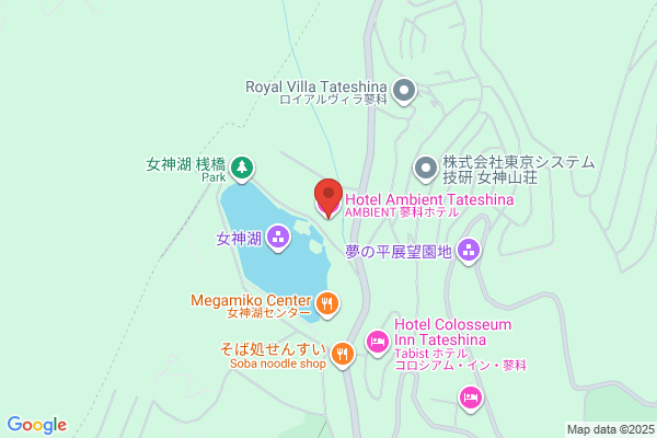 Hotel Tateshina