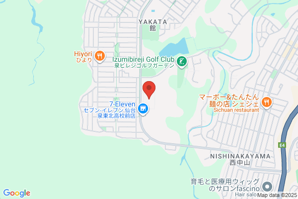 Tohoku Hoken Chosa Service
