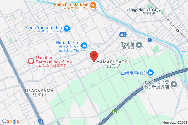 Niigata Kenki Co., Ltd.