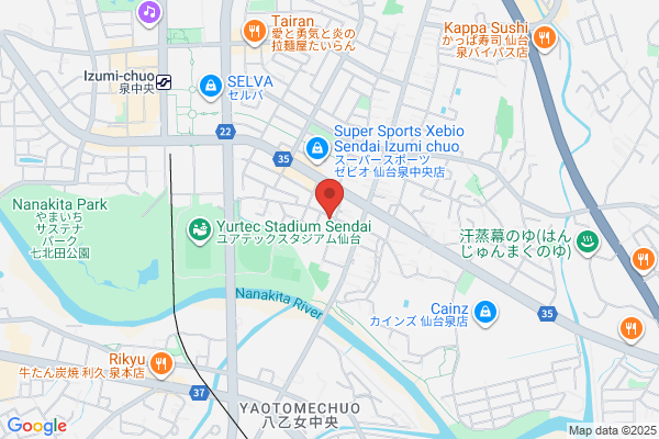Nikko Medical Co., Ltd.