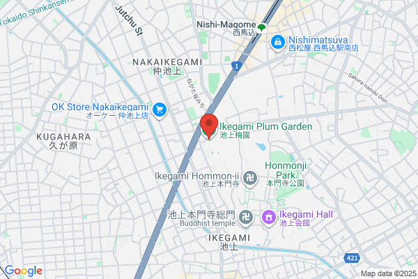 Ikegami Baien