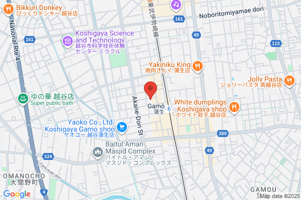 Taisei Plastics Co., Ltd.