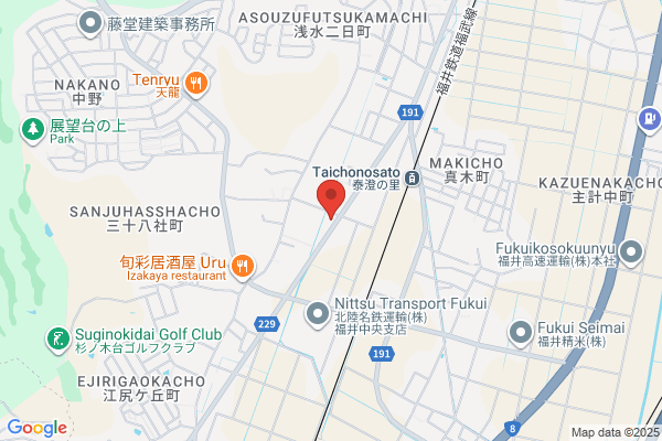 Dolphin Entertainment Co., Ltd.