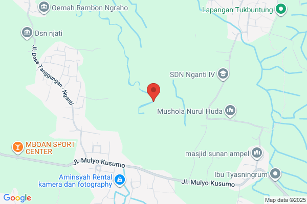 Bengawan Solo