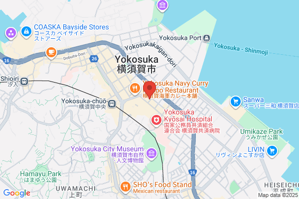 Shintomizushi