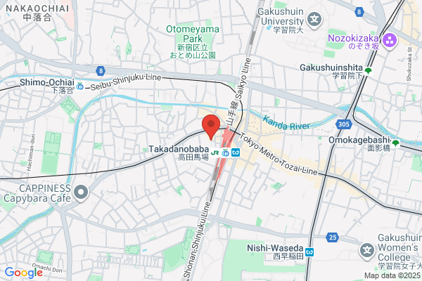 Cosmopolitan Language Institute