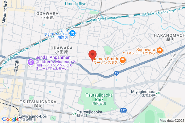 Sendai Swimming School