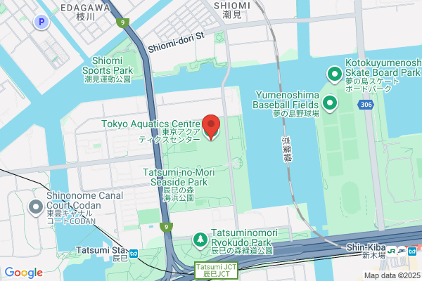 Tatsumi Swimming School