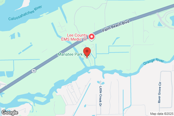 Manatees