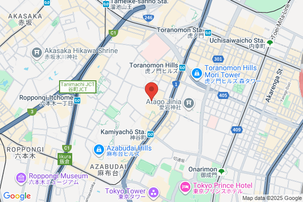 Ameriman Express International, Inc.