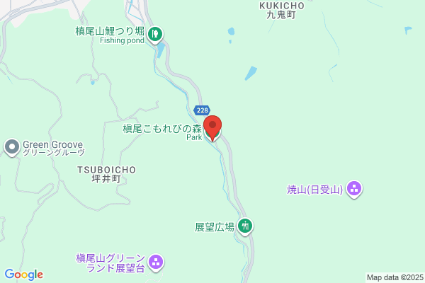 Ikoinomori Camp-jo