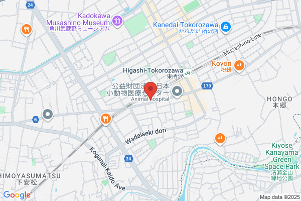 Everglow Trading Co., Ltd.