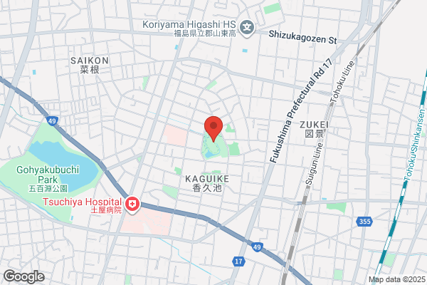 ゲオ 郡山城清水店